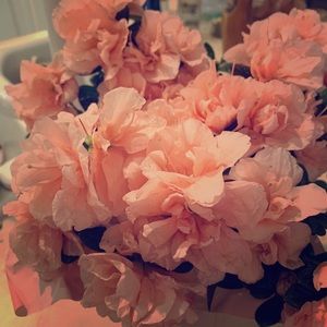 Meet your Posher, Brittney